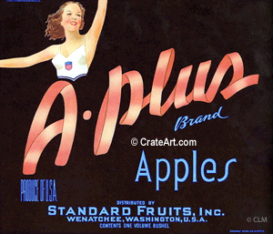 A-PLUS (A) #1