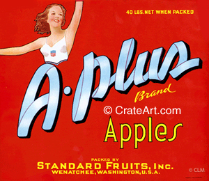 A-PLUS (A) #2