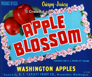 APPLE BLOSSOM (A)