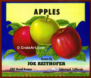 APPLES (A) #4
