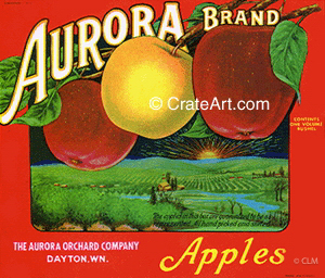 AURORA (A) #2