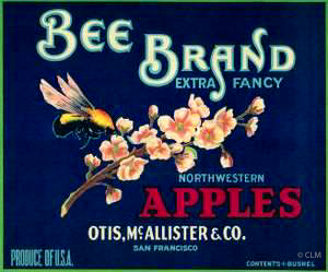 BEE BRAND (A)