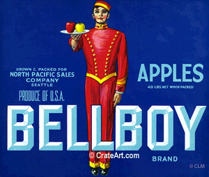 BELLBOY (A)