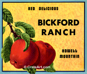 BICKFORD RANCH (A)