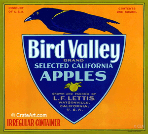 BIRD VALLEY (A) #1