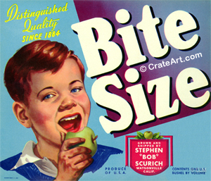 BITE SIZE (A)