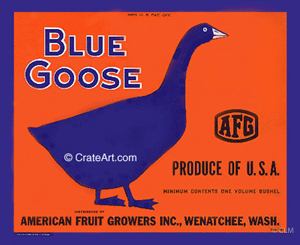 BLUE GOOSE (A) #3