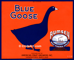 BLUE GOOSE (A) #6