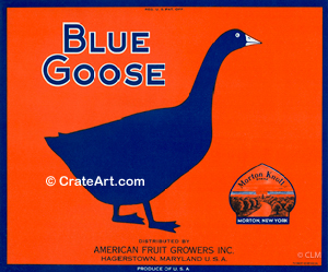 BLUE GOOSE (A) #8