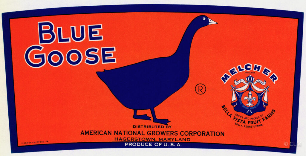 BLUE GOOSE (A) #9