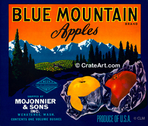 BLUE MOUNTAIN (A) #1