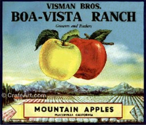 BOA-VISTA RANCH (A)