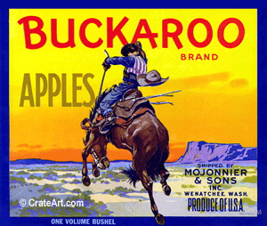 BUCKAROO (A) #1