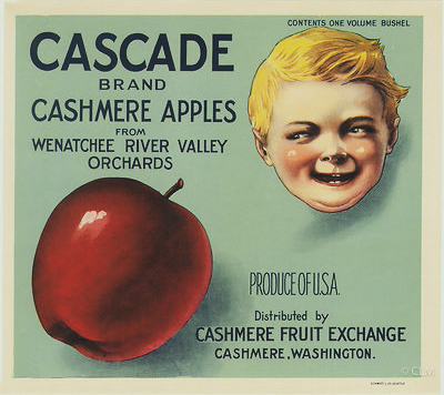 CASCADE (A) #1