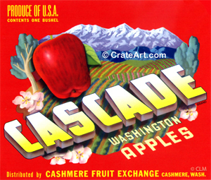 CASCADE (A) #2