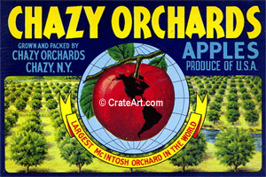 CHAZY ORCHARDS (A)
