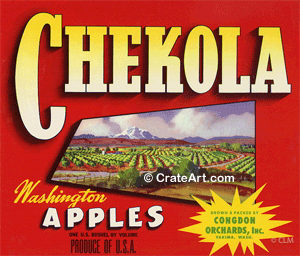 CHEKOLA (A)