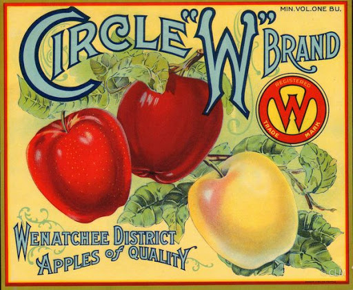 CIRCLE "W" (A)