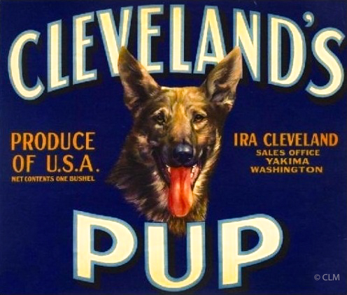 CLEVELAND'S PUP (A)