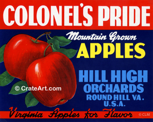 COLONEL'S PRIDE (A)