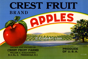 CREST FRUIT (A)