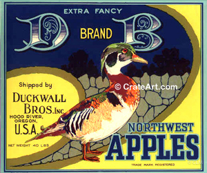 D - B BRAND (A) #1