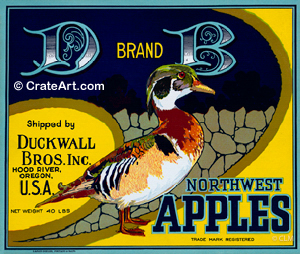 D - B Brand (A) #3