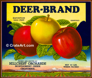DEER-BRAND (A)