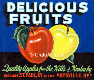 DELICIOUS FRUITS (A) #1