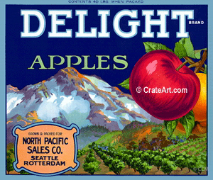 DELIGHT (A)