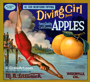 DIVING GIRL (A) #1