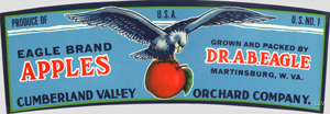 EAGLE BRAND (A)
