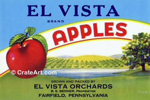 EL VISTA (A)