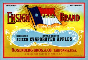 ENSIGN (A) #10