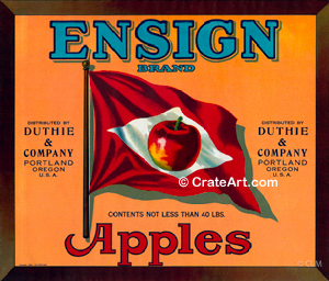 ENSIGN (A) #7