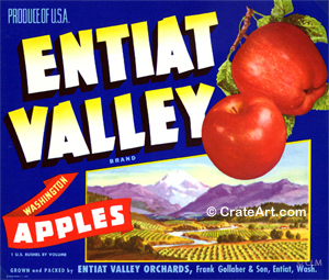 ENTIAT VALLEY (A)