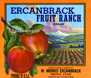 ERCANBRACK FRUIT RANCH (A)