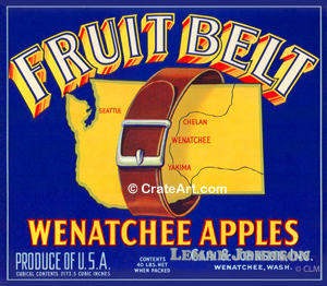 FRUIT BELT (A)
