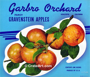 GARBO ORCHARD (A)