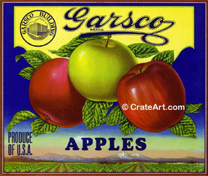 GARSCO (A)