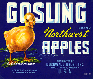 GOSLING (A) #1