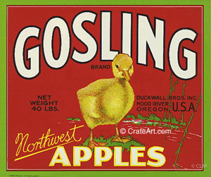 GOSLING (A) #2