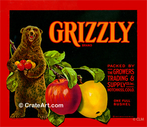 GRIZZLY (A) #2