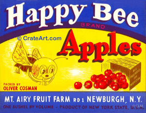 HAPPY BEE (A) #1