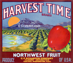 HARVEST TIME (A) #1