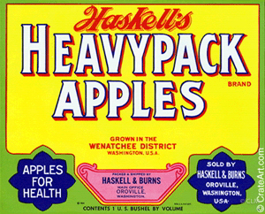 HASKELL'S HEAVYPACK (A) #2