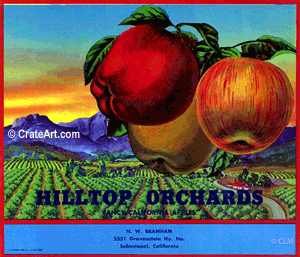 HILLTOP ORCHARDS (A)