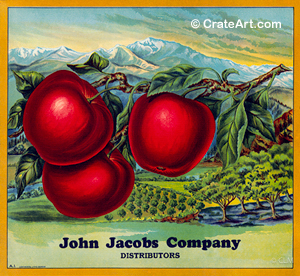 JOHN JACOBS (A)