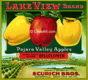 LAKE VIEW (A) #1