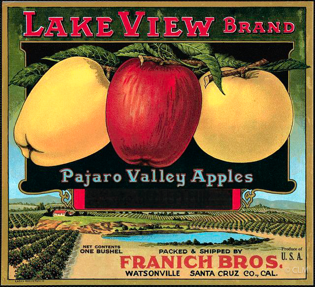 LAKE VIEW (A) #2